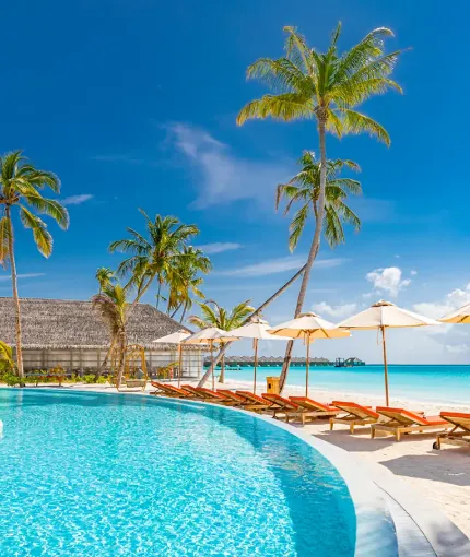 Beachfront resort vacation with palm trees and lounge chairs, offering a relaxing getaway.